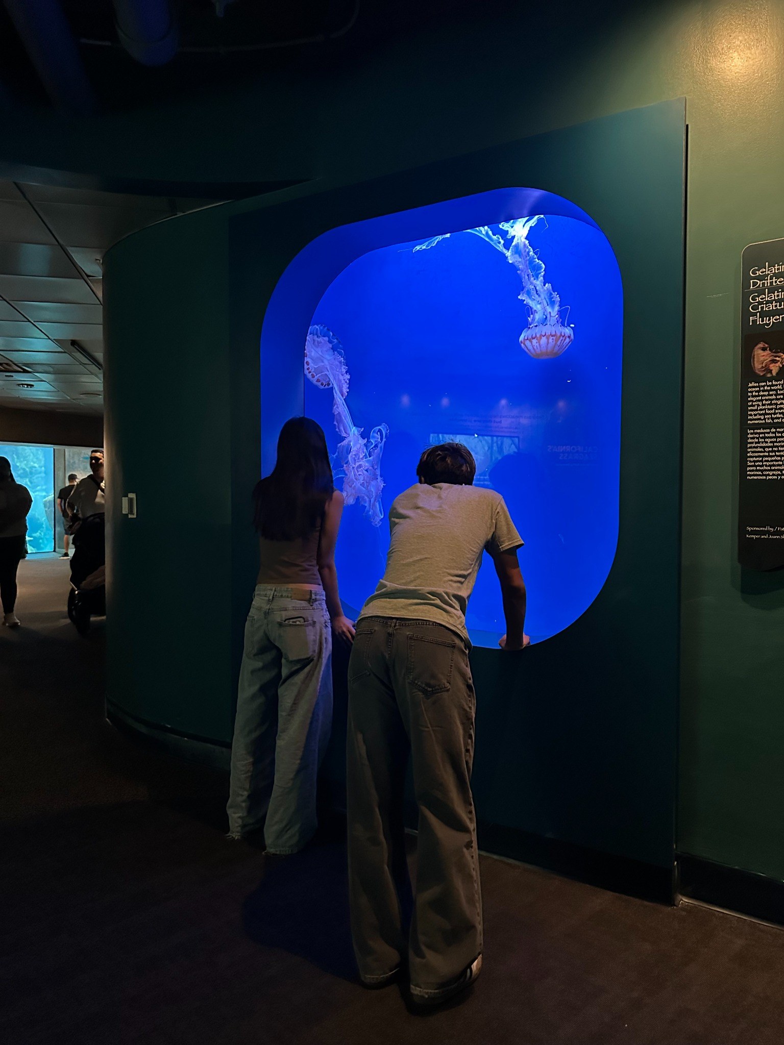 us at the aquarium