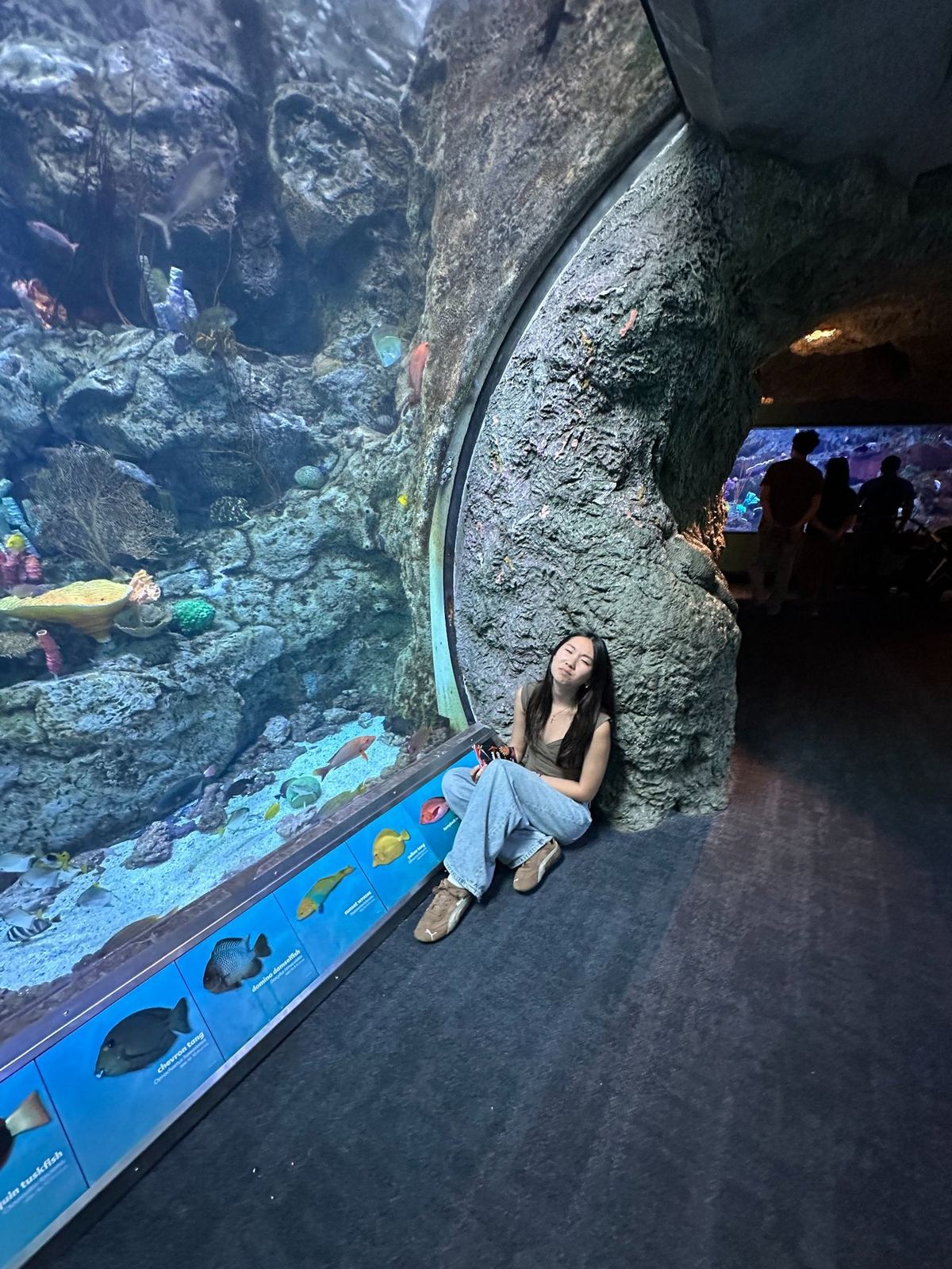 Abby sitting beside the aquarium window