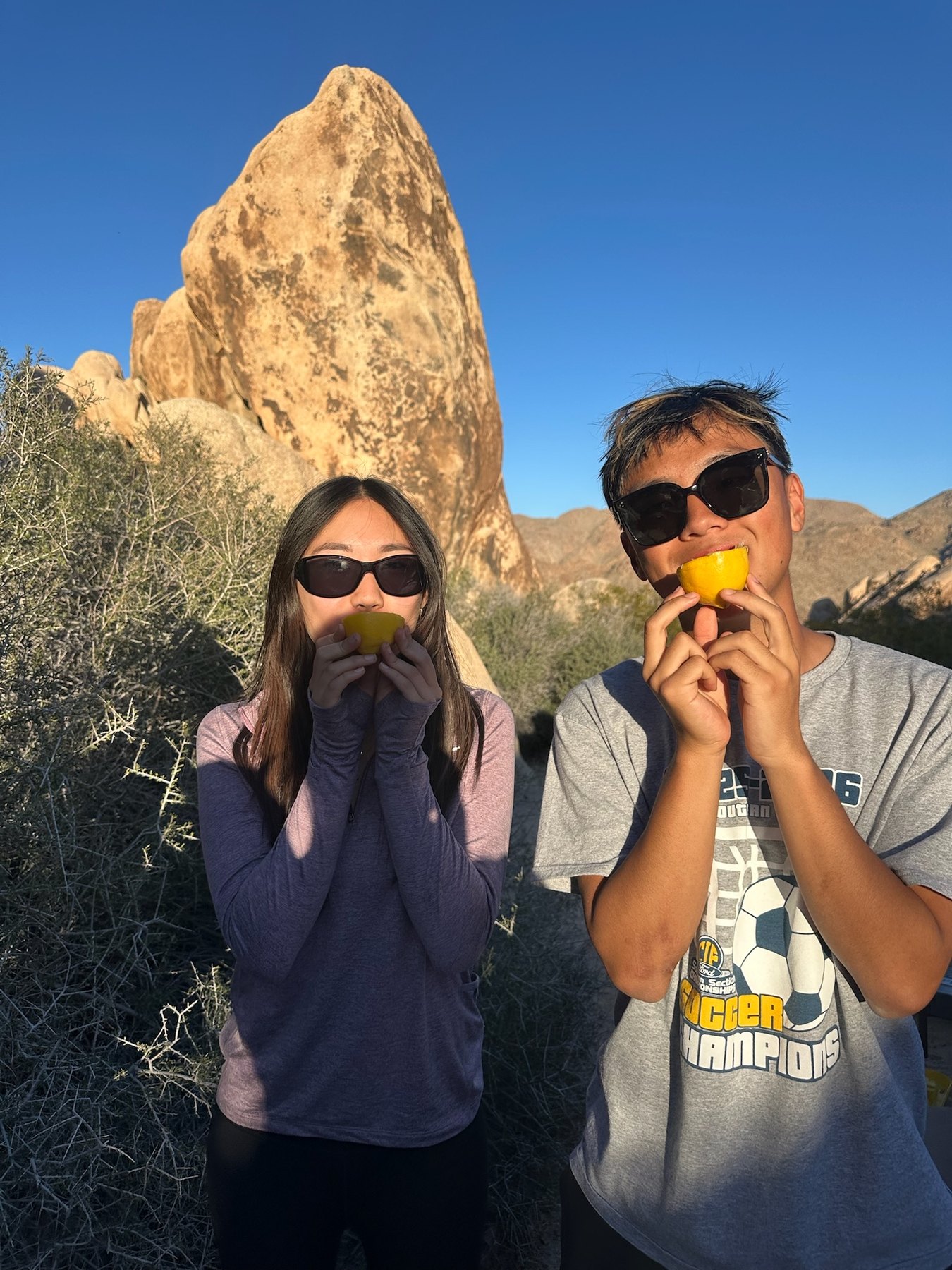 Joshua Tree